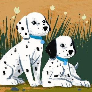 Meet your Posher, Maria